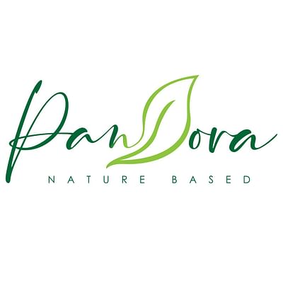 Pandora Egypt | Social Media Management - Motion Design