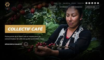 Identité au service des acteurs de la filière café - Ergonomie (UX/UI)