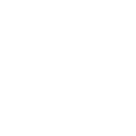 DSolutions Group