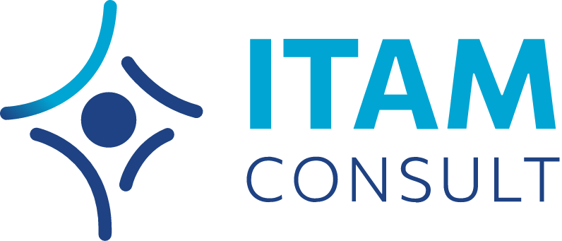 ITAM Consult