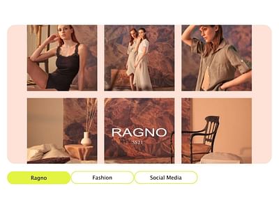 Ragno - Gestione canali social - Social Media
