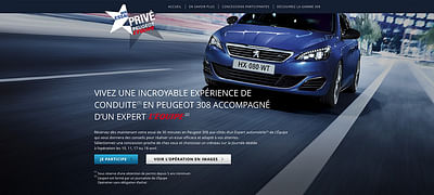 Peugeot France National Campaign - Création de site internet