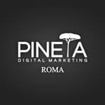 Pineta Studio logo
