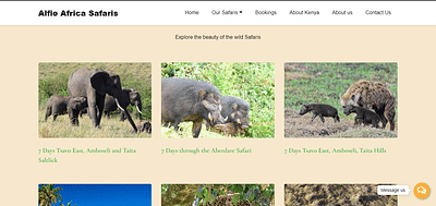 Alfie Africa Safaris website - Graphic Design