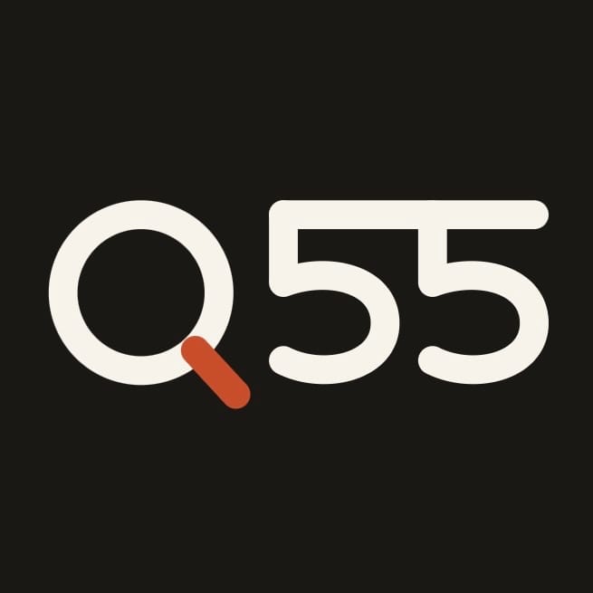 Q55 Agencia SEO y Marketing digital