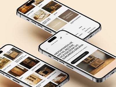 AntykiMarki.pl - Ergonomy (UX/UI)