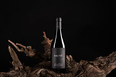 Aalto Winery Blanco de Parcela, label design - Image de marque & branding