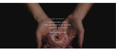 Création d'un E-commerce et paiement sécurisé - E-commerce