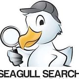 Seagull Search