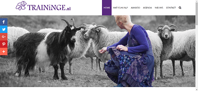 webdesign en seo copywriting voor praktijk NLP - SEO