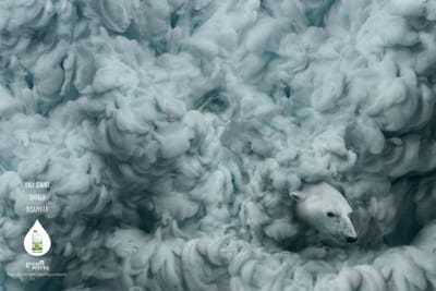 Polar bear - Advertising