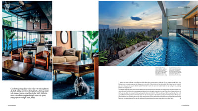 Showcase website for Sanctum - Webseitengestaltung