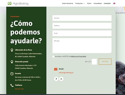 Diseño Web Empresa Agrícola - Création de site internet
