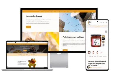 Rediseño web + eCommerce + SEO & CRO para Miel de la Puela - Creación de Sitios Web