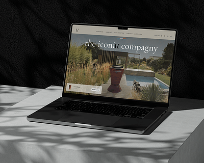 Site E-commerce - Website Creation