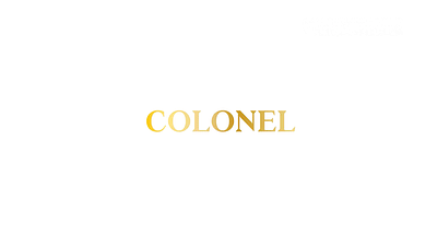 Colonel restaurant E-Commerce - E-commerce