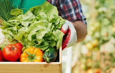 Blockchain Development for Agri Marketplace - Web Application