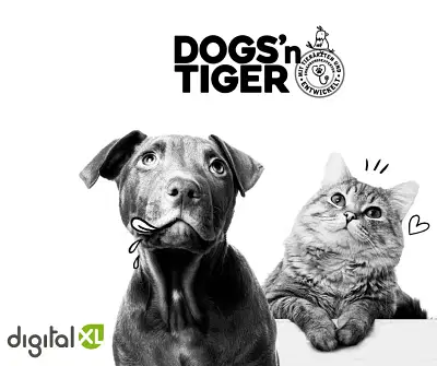 Dogs'n Tiger: Erfolgreicher GoLive mit Xentral - E-Commerce