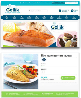 gellik-surgeles.com - Stratégie de contenu