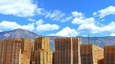 Challenger Pallet & Supply - Design & graphisme