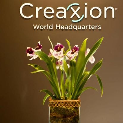 Creaxion