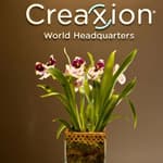 Creaxion logo