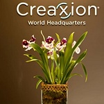 Creaxion