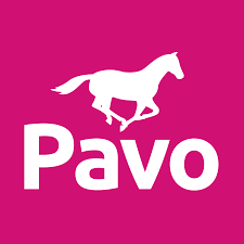 Pavo - SEO-optimalisatie en inhoud verbetering - Data Consulting