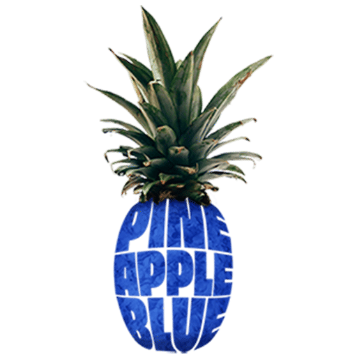 PineappleBlue® - Agentur für Webdesign & Co