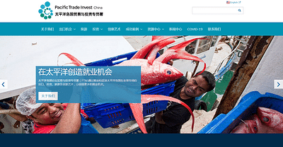 Pacific Trade & Invest China - Website Creatie
