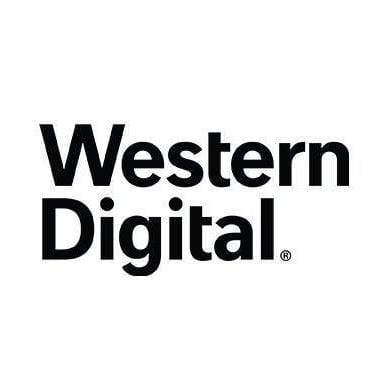 Technical SEO & Content Strategy / Western Digital - Référencement naturel