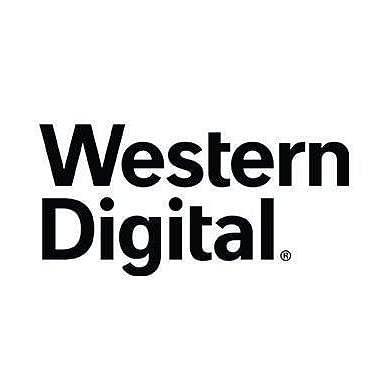 Technical SEO & Content Strategy / Western Digital - SEO