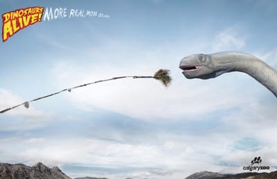 Dino, 2 - Werbung