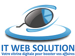 IT WEB SOLUTION logo