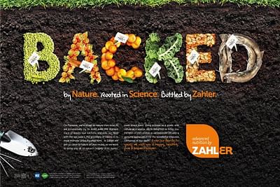 Backed by Nature - Ergonomy (UX/UI)
