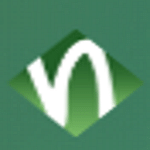 Neos IT Services logo