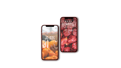 Biomarket - Campaña B2B - Online Advertising