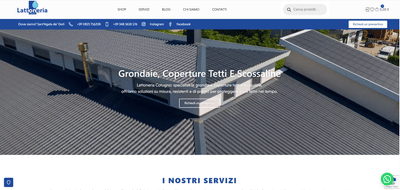 Website Design, SEO & Ads Management - Content Strategy