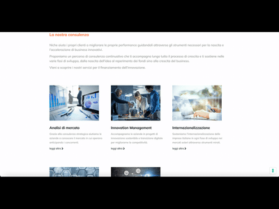 Niche S.r.l Web Site - Strategia digitale
