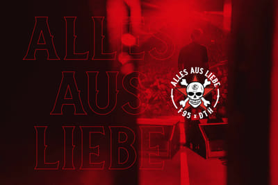 Website Fortuna Düsseldorf x Die Toten Hosen - Webseitengestaltung