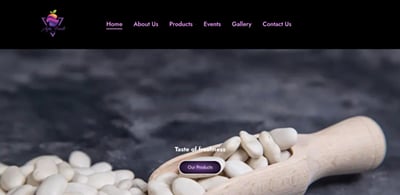 Ayla Fruits: Corporate Website for a Produce Exporter - Webseitengestaltung