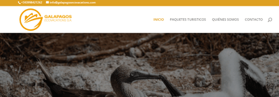 Diseño y desarrollo web - Création de site internet