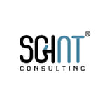 SGINT Consulting logo