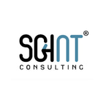 SGINT Consulting