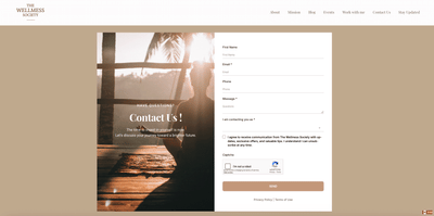 The Wellmess Society | Refonte de site et blog - Website Creatie