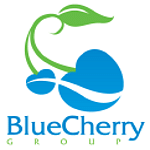 Blue Cherry Group