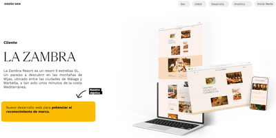 Diseño Web - Web analytics / Big data