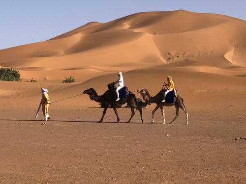 Sahara Desert Kingdom cover