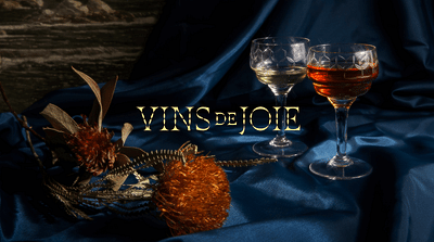 VINS DE JOIE - Website Creation