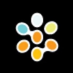 Dotfusion Digital Agency